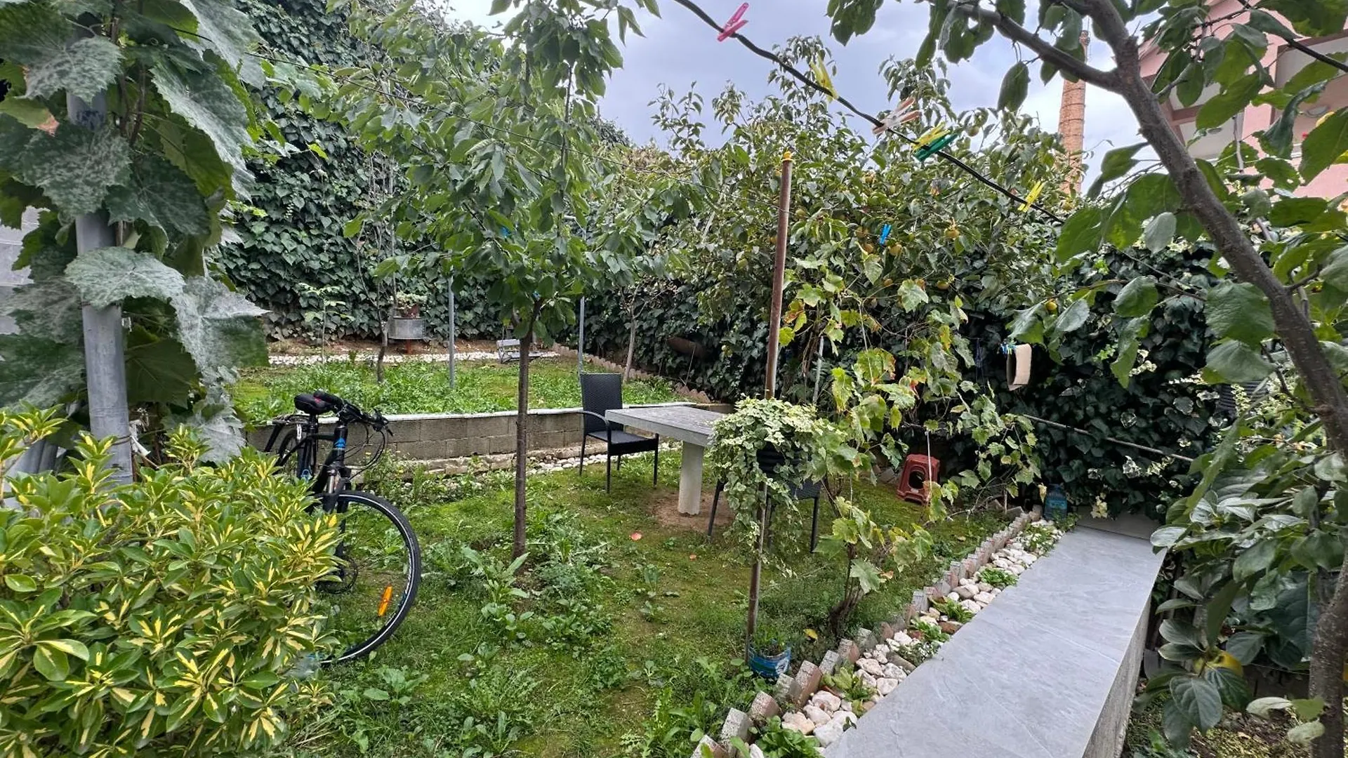Guest House Pogradec 1